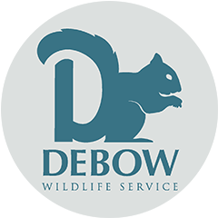 DeBow Wildlife Service